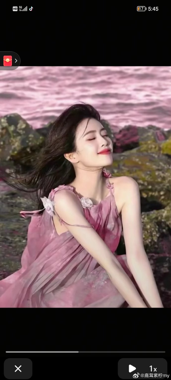 中文字幕高清应用主界面展示